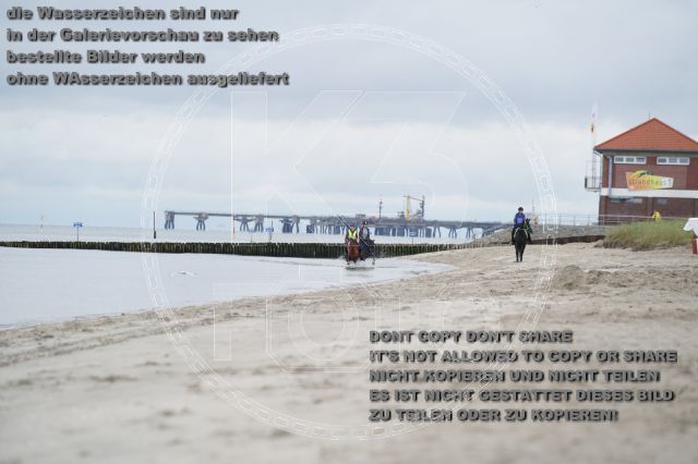 s_K3F04785.JPG